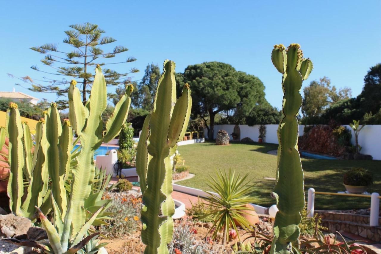 Casa Areias Boutique Apartments Albufeira Exterior photo